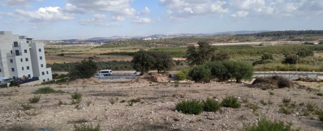 שטח התוכנית לבניית צמודי קרקע בשכונת הפרחים בחריש