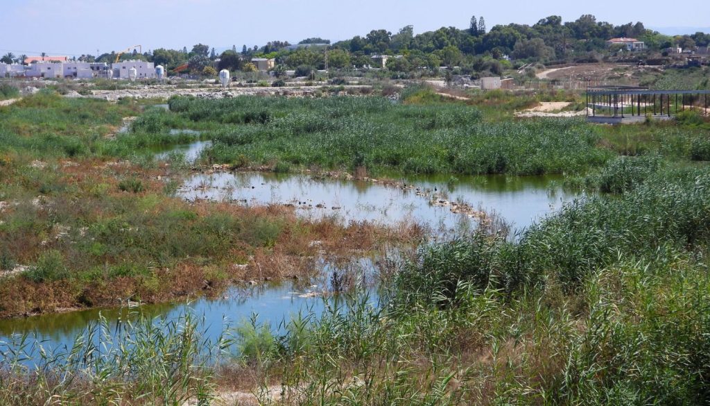 מעגן מיכאל צילום: דב גרינבלט