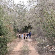 נחל נרבתה נרבתא פינת החרוב צילום: רועי כהנא, רשות ניקוז ונחלים שרון